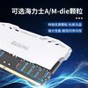 【CL28】疆珑i9灵龙6000 16gbx2ddr5电脑内存条海力士A-die颗粒