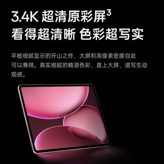 OPPO Pad 4 Pro 平板电脑（12GB、512GB、WiFi版、深空灰）