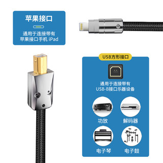  YYTCG 发烧级镀银 Type-c转USB-B音频线