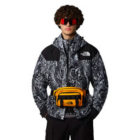 the North FaceTNF北面美版男女同款Base Camp腰包户外徒步登山包NF0A8BK5 ZU3-星耀金 One size