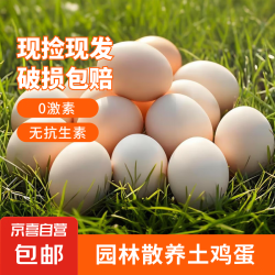 京喜自营-专用品牌 正宗农家散养土鸡蛋新鲜鸡蛋年货2 10枚土鸡蛋50g