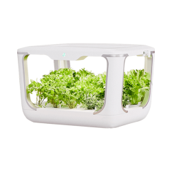 小绿弟 Tiny Green 智能生态种植机 无土栽培 花器