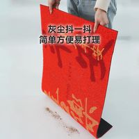 唯萨新年款入户丝圈地垫浴室垫