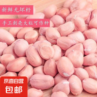 花生米 精选花生米500g