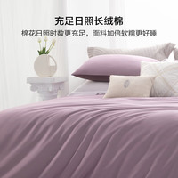 百丽丝床上三/四件套 60支全棉贡缎面料 轻奢套件 被套床单枕套 60支纯棉(薰衣草色) 150cm×200cm