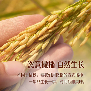  孟乍隆 长粒 泰国茉莉香米  2.5KG*6包 6袋