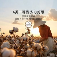康尔馨 Canasin 100支埃及棉A类四件套