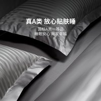 康尔馨 Canasin 希尔顿酒店轻奢A类双面100支长绒棉行政套房四件套