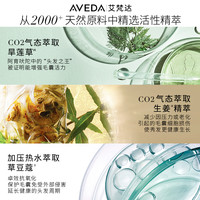 【会员享95折】Aveda艾梵达丰盈强韧头皮赋活头皮护理精华液 丰盈强韧头皮赋活精华150ml