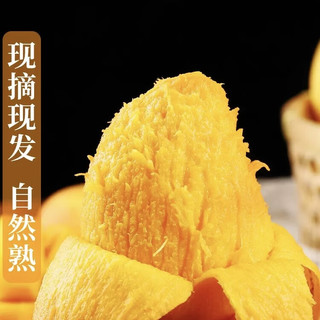 陇百味海南小台芒 应季当季新鲜热带时令水果 小台农芒果整箱南方特产 净重4.5斤 单果70g+