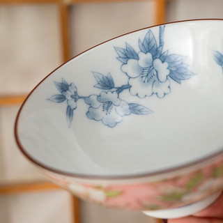 美浓烧（Mino Yaki）陶瓷餐具套装木槿花纹樱粉碗盘组合釉下彩家用10件套