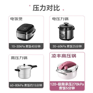 凌丰家用高压锅防爆压力锅小型多功能迷你不锈钢压力煲燃气电磁炉通用