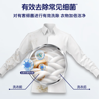 家家宜 洁护抗菌增白洗衣皂 抗菌清香洗衣皂(202*2)克*2组