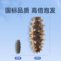 福口居【首单礼】国标干海参400g24-32只 大连辽参海参干货