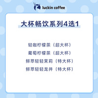【 coffee/瑞幸咖啡 luckin coffee coffee咖啡】大杯畅饮系列4选1电子优惠券