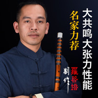 罗一刀笛子竹笛初学者入门成人专业演奏级苦竹考级横笛十大品牌乐器一修 G调【少儿】