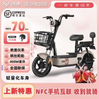 绿源 新国标电动自行车48V20Ah成人男女电动车时尚亲子长续航电瓶车