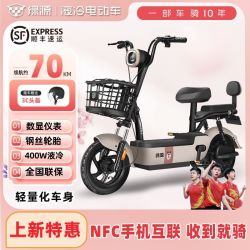 绿源 新国标电动自行车48V20Ah成人男女电动车时尚亲子长续航电瓶车