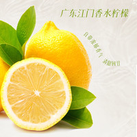 中街1946小棒支系列随心选 中式冰淇淋雪糕冷饮甜品[冷链发货] 新口味 青桔柠檬雪冰50g*1支