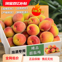 馋鲜园 2025新鲜胭脂梅现摘青梅鲜果高山野生红梅顺丰泡酒孕妇生酸脆梅子