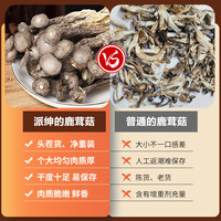 派绅鹿茸菇100g*2袋福建古田鹿茸菌菇 炒菜煲汤火锅食材