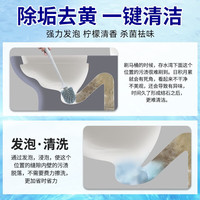 满意星园洗衣机清洗剂清洁剂污渍滚筒消毒强力除垢杀菌泡腾片家用款 马桶泡腾片1盒(12块)