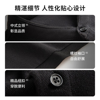 杉杉纯棉短袖polo衫男夏季中式立领休闲刺绣体恤舒适柔软顺滑上衣 黑色 L(175/92A)
