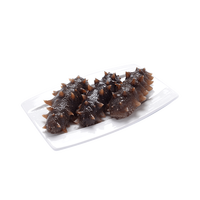 衣大 大连底播野生海参 头茬春参 冷冻即食 400g