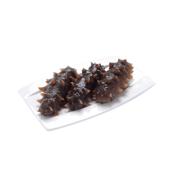 衣大 大连底播野生海参 头茬春参 冷冻即食 400g