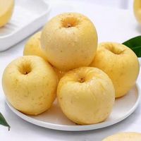尹福记山东黄金奶油富士苹果花皮果脆甜新鲜水果 新鲜黄金富士 净重 4.5-5斤 6-9个