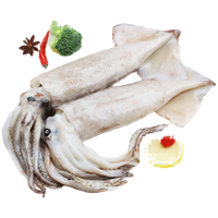 东上御品 山东 大鱿鱼净重 约3-5条铁板鱿鱼 烧烤海鲜食材-源头直发