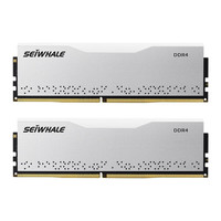枭鲸DDR4 16G/32G 台式内存条 海力士颗粒 32G(16G*2)灯条 3600 C16