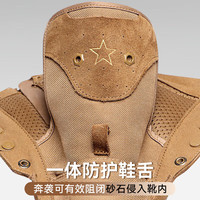 际华户训新式棕色作战靴男作战鞋碳板超轻训练靴高帮侧拉链耐磨沙漠登山鞋 新式棕色作战靴【铜扣碳板款】 40/250【原厂正品 两双鞋垫】