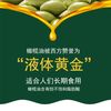 厨道特级初榨橄榄食用调和油 5L*4瓶