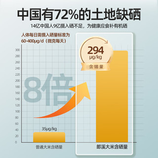 南漪优谷郎溪富硒大米 长粒香大米丝苗米一级真空包装安徽特产 富硒大米500g*1袋