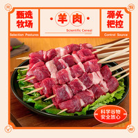 元牧希羊肉串60串空气炸锅冷冻半成品烧烤牛肉串组合羊排肉串羊肉 800g