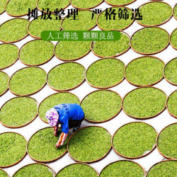 香彻 龙井绿茶豆香型传统纸包装100g