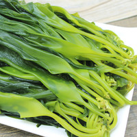 渔船涱头水 霞浦新鲜 嫩海带苗 盐渍海带芽 海带汤 海带苗500g*4包