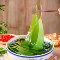 渔船涱头水 霞浦新鲜 嫩海带苗 盐渍海带芽 海带汤 海带苗500g*2袋