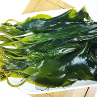 渔船涱头水 霞浦新鲜 嫩海带苗 盐渍海带芽 海带汤 海带苗500g*2包