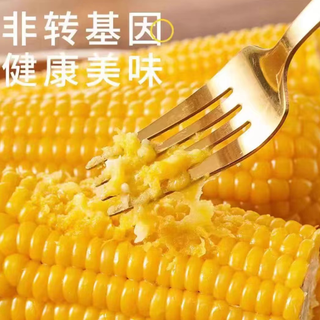 东北新鲜糯玉米棒甜白玉米粘棒子带皮苞谷五谷杂粮生嫩鲜玉米棒