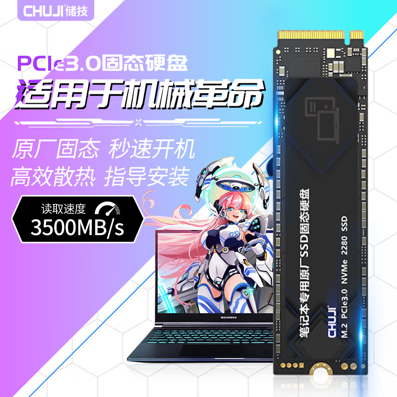  CHUJI/储技 PCIe3.0 笔记本固态硬盘