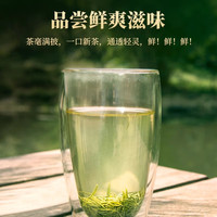2025新茶艺福堂茶叶金螺韵碧螺春茶明前特级绿茶50g