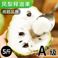 正鲜季 释迦果新鲜凤梨牛奶佛头果大目番荔枝当季孕妇水果整箱 1斤装 精选大果