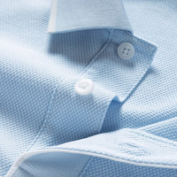 七匹狼短袖T恤男25夏季凉感抗菌翻领男士POLO打底衫商务休闲短T男装上衣 114(水蓝)-菠萝纹 5XL (195) 108A