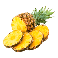 鲜火 海南金钻凤梨 4.5斤装（2-3个装）