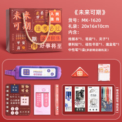 宜甜 文具套装礼盒小学生六年级升学礼物幼儿园送儿童伴手送全班生日礼物女孩7-14岁 未来可期