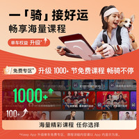 Keep动感单车C2lite/家用器材静音室内运动减肥自行车器