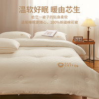 A类新疆长绒棉花被纯棉花被子冬被棉絮空调被芯加厚保暖春秋棉被 A类全棉双层纱棉花被 冬被220*240cm【填充5.2斤 整重7.5斤】