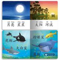 海豚传媒授权 超级飞侠双语有声故事 套装全8册(幼小衔接幼儿园儿童动漫卡通童书超级飞侠图书籍动画故事书手工书动手动脑专注力) 海底小纵队·幼儿认知启蒙书:全6册